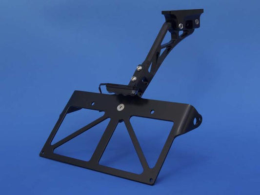 ウッドストック WOODSTOCK フェンダーレスキット DUCATI 1098 カタログ品番：P035-2211 メーカー品番：FDL-D02-BK
