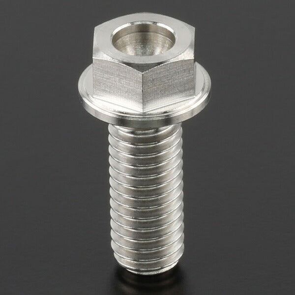 ZETA ジータ Z-チタン ブレーキディスクボルト each φ6 M6x16 HEX S カタログ品番：P077-3437 メーカー品番：ZT10-0261