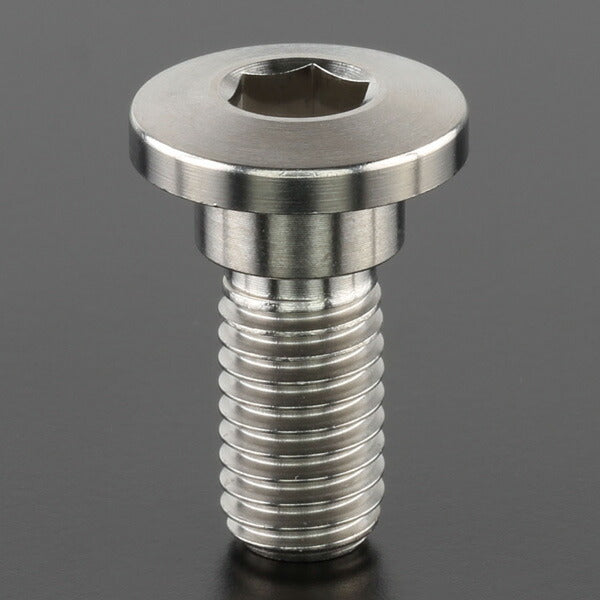 ZETA ジータ Z-チタン ブレーキディスクボルト each φ10 M8x20 ThinHead カタログ品番：P077-3449 メーカー品番：ZT10-3741