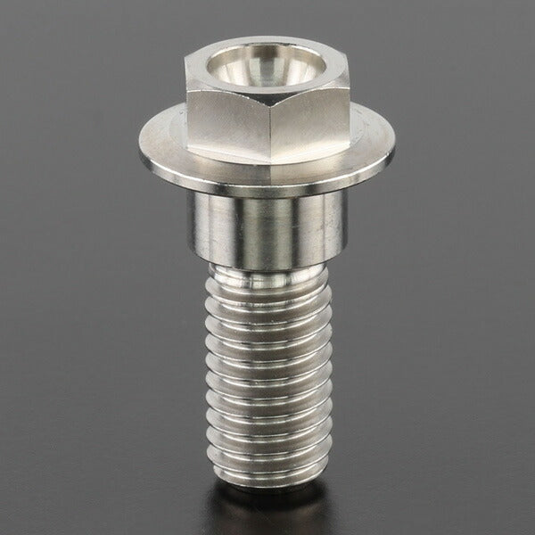 ZETA ジータ Z-チタン ブレーキディスクボルト each φ10 M8x22 HEX カタログ品番：P077-3441 メーカー品番：ZT10-0822