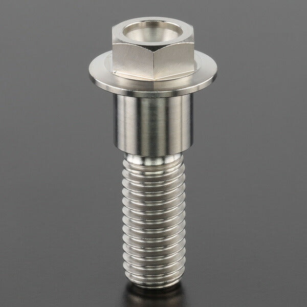 ZETA ジータ Z-チタン ブレーキディスクボルト each φ10 M8x28 HEX カタログ品番：P077-3442 メーカー品番：ZT10-0828