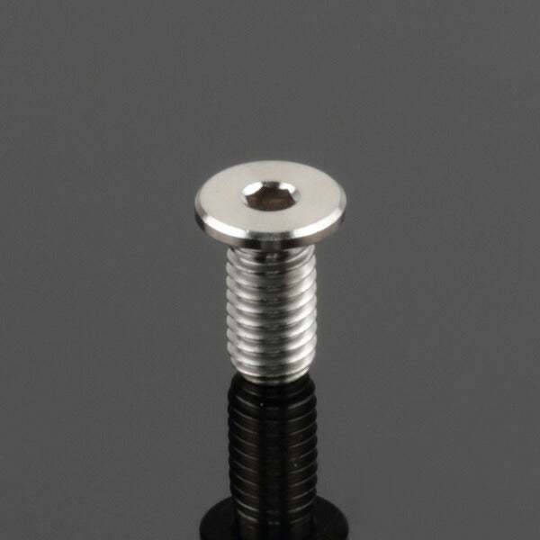 ZETA ジータ Z-チタン キャップスクリュ M6 P1.0 エクストラLowヘッド12mm カタログ品番：P104-4813 メーカー品番：ZT07-3612