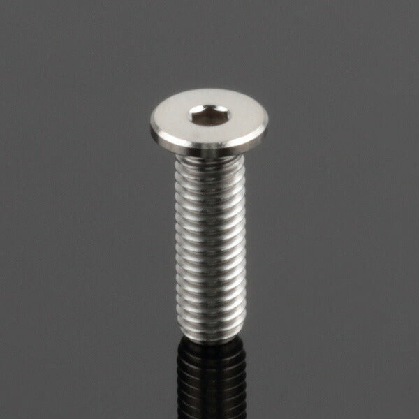 ZETA ジータ Z-チタン キャップボルト M6 P1.0 エクストラLowヘッド 20mm カタログ品番：P085-2759 メーカー品番：ZT07-3620