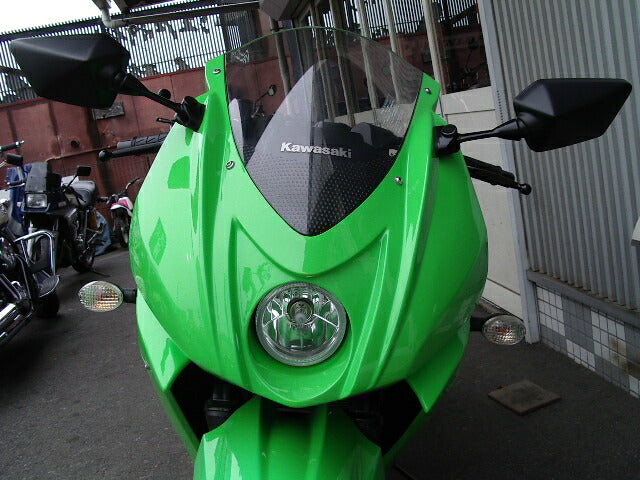 PLEASURE プレジャー カスタムフロントカウル FRP クロゲル NINJA250R カタログ品番：P041-3665 メーカー品番：PK31200