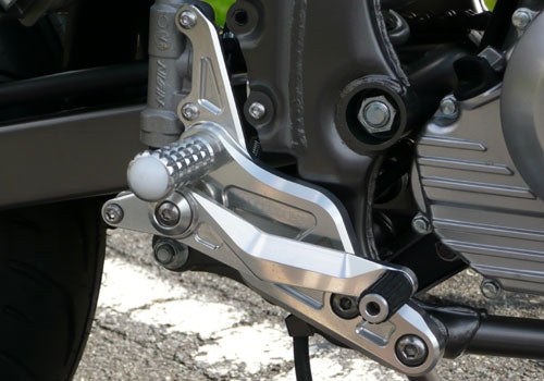 アグラス アグラス バックステップ(レース用) D-TRACKER125 カタログ品番：P041-3848 メーカー品番：312-481-001