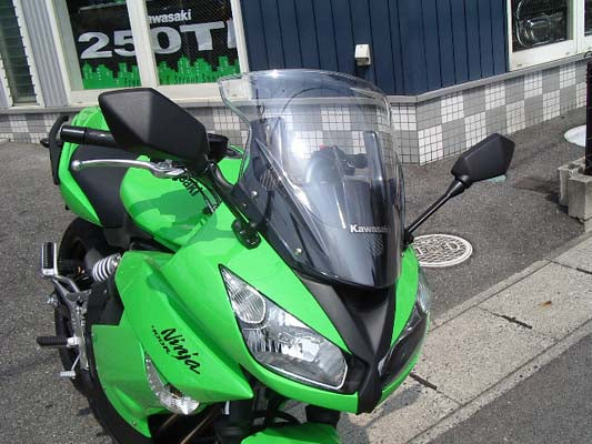 PLEASURE プレジャー バイザーリフトプレート FRPブラック Ninja400R ER-6f 09- カタログ品番：P042-9928 メーカー品番：PK31600