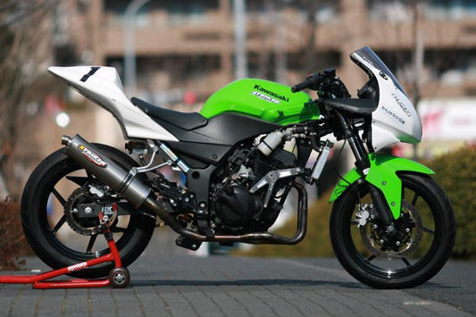 STRIKER ストライカー レーシングコンセプト ステン ステン Ninja250R 08-12 カタログ品番：P043-8816 メーカー品番：694S12JQTT