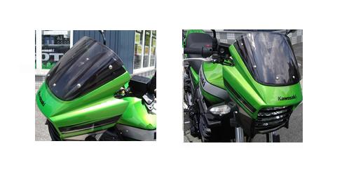 PLEASURE プレジャー バイザーリフトプレート ZRX1200 DAEG カタログ品番：P043-8926 メーカー品番：PK31500