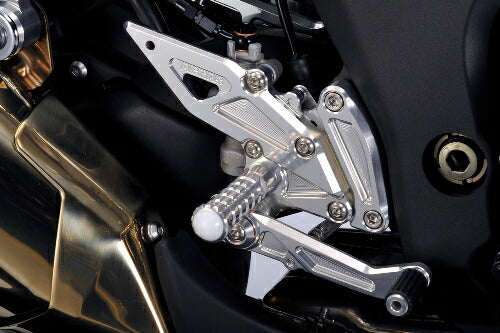 アグラス アグラス バックステップ 4ポジション Ninja1000 11-17 カタログ品番：P044-9793 メーカー品番：312-486-000
