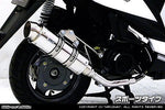 ウイルズウィン WirusWin ロイヤルマフラー スポーツ キムコ VJR50i カタログ品番：P045-2205 メーカー品番：542-59-03
