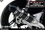 ウイルズウィン WirusWin ロイヤルマフラーユーロタイプ ブラックカーボン RS Z100 カタログ品番：P047-8884 メーカー品番：612-59-14