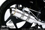 ウイルズウィン WirusWin ロイヤルマフラー スポーツタイプ ディオ110 EBJ-JF31 カタログ品番：P048-1213 メーカー品番：642-59-03