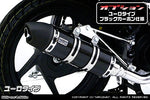ウイルズウィン WirusWin ロイヤルマフラー ユーロタイプ ブラックカーボン ディオ110 カタログ品番：P048-1218 メーカー品番：642-59-14