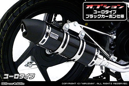 ウイルズウィン WirusWin ロイヤルマフラー ユーロタイプ ブラックカーボン ディオ110 カタログ品番：P048-1218 メーカー品番：642-59-14