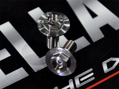 AELLA アエラ チタンライセンスプレートボルト M6X15 P1.00(2本) カタログ品番：P049-1653 メーカー品番：AT-10001