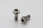 AELLA アエラ チタンボルト(Rキャリパーマウント) M8X20 P1.25(2本) カタログ品番：P051-6616 メーカー品番：AT-DU004