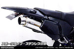 ウイルズウィン WirusWin スリップオンマフラー スポーツ ステンレス KLX250 BA-LX250E BA-KLX250E カタログ品番：P052-5507 メーカー品番：1182-30-03