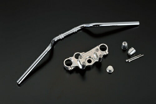 アグラス トップブリッジ＆ハンドル GSR250 ブロックタイプブラケット