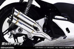 ウイルズウィン WirusWin アトミックツインマフラー ポッパー PCX150 JBK-KF12 カタログ品番：P056-8229 メーカー品番：272-13-03