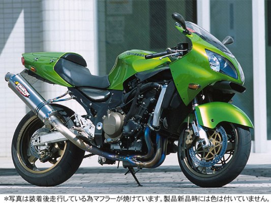 ストライカー ストライカー レーシングコンセプト チタン ミラー ZX-12R カタログ品番：P057-6520 メーカー品番：6594OT50-M