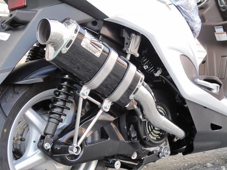 ホットラップ ホットラップ TYPE666 マフラー CYGNUS-X O2センサー付 カタログ品番：P058-0000 メーカー品番：666-C-O