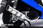 ウイルズウィン WirusWin ロイヤルマフラー ポッパータイプ GSR125 カタログ品番：P058-2083 メーカー品番：1202-59-02