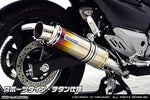 ウイルズウィン WirusWin スリップオンマフラー スポーツタイプ チタン GSR250 JBK-GJ55D カタログ品番：P062-5515 メーカー品番：1452-30-15