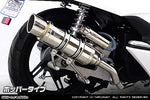 ウイルズウィン WirusWin ロイヤルマフラー ポッパータイプ PCX(EBJ-JF56) カタログ品番：P063-7692 メーカー品番：262-59-02B