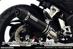 ウイルズウィン WirusWin スリップオンマフラー ユーロ ブラックC CB250F 14- カタログ品番：P064-6402 メーカー品番：1582-30-26