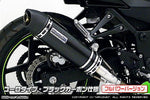 ウイルズウィン WirusWin スリップオンマフラー ユーロ BLKカーボン Ninja250R JBK-EX250K カタログ品番：P065-7416 メーカー品番：1052-30-26