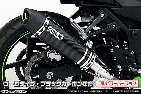 ウイルズウィン WirusWin スリップオンマフラー ユーロ BLKカーボン Ninja250R JBK-EX250K カタログ品番：P065-7416 メーカー品番：1052-30-26
