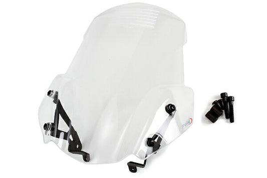 プーチ NEWジェネレーションSPORT クリア R1200R 15- ステー付