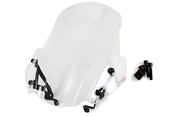 プーチ NEWジェネレーションSPORT クリア R1200R 15- ステー付