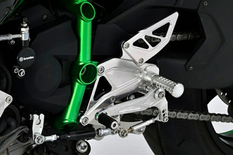 アグラス アグラス バックステップ NINJA H2 15 カタログ品番：P069-0895 メーカー品番：312-496-000