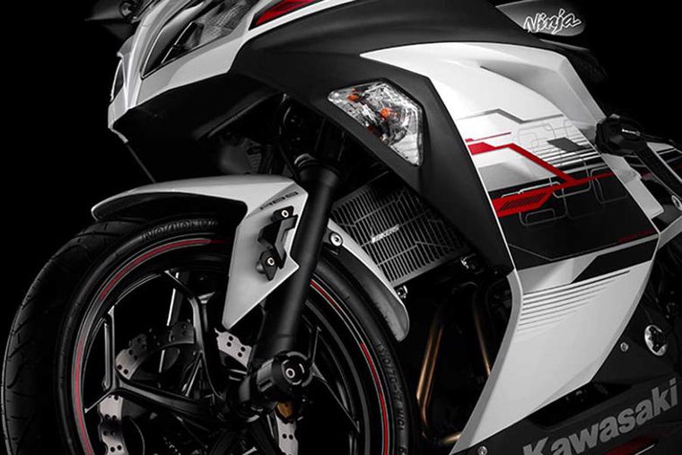 バイカーズ BIKERS ステンラジエターガード チタンコート BLK Ninja250 Z250 13-17 カタログ品番：BK-K339-BLK メーカー品番：K0339-BLK