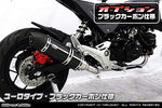 ウイルズウィン WirusWin ロイヤルマフラー フルエキ ユーロ BLK・C GROM(2型) カタログ品番：P072-4880 メーカー品番：1712-59-14