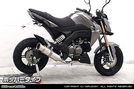 ウイルズウィン WirusWin ロイヤルマフラー ポッパー フルEX Z125 PRO カタログ品番：P073-8878 メーカー品番：1732-59-02