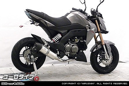 ウイルズウィン WirusWin ロイヤルマフラー ユーロ フルEX Z125 PRO カタログ品番：P073-8880 メーカー品番：1732-59-04