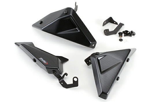 プーチ サイドパネル カーボンプリント R1200RS／R 15-