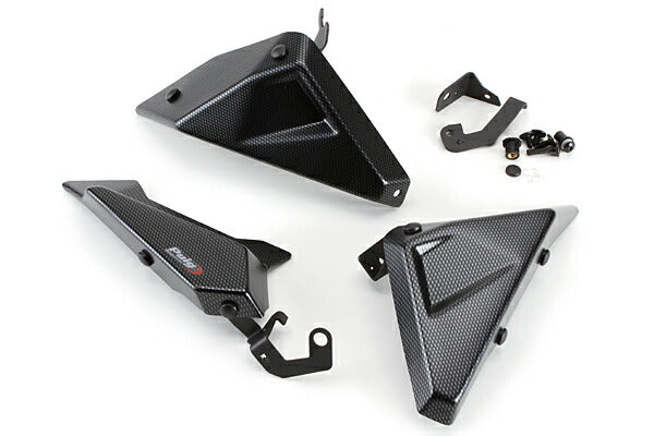 プーチ サイドパネル カーボンプリント R1200RS／R 15-