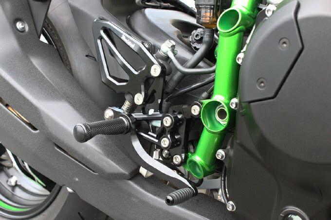 ウッドストック ウッドストック バックステップキット 4POS GLD Ninja H2 STDペダル カタログ品番：P080-4825 メーカー品番：WBS-K32-GD