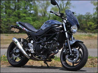 シックデザイン GUYRAシールド クリア ＃S SV650 16-