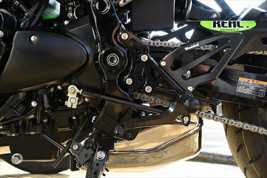 ウッドストック｜ウッドストック 逆チェンジキット BLK Z900RS 18｜RVS-K36-BK