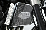アグラス｜アグラス コアガード Aタイプ Z900RS 18-19｜309-400-A00
