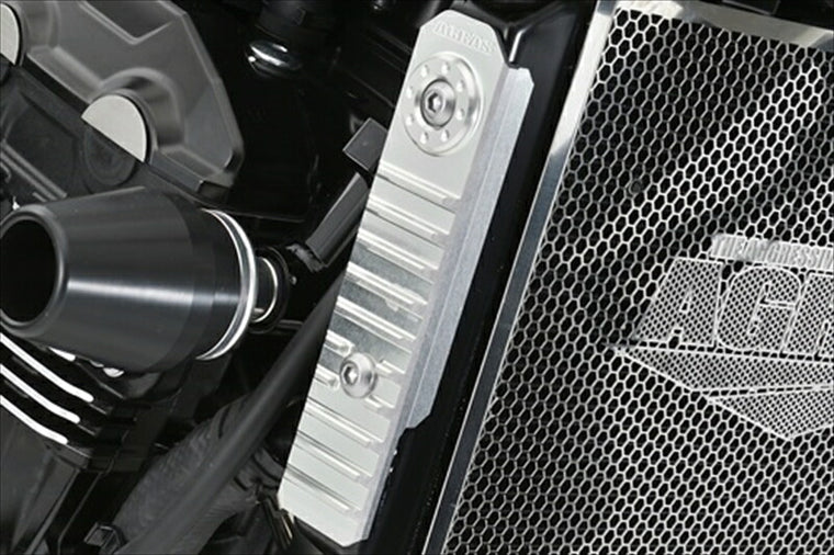 アグラス｜アグラス ラジエターサイドカバー SLV Z900RS 18｜309-400-000S