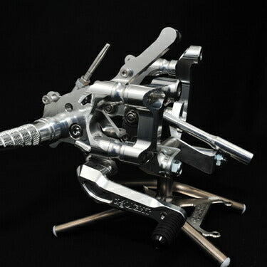 ディライト deLight 4ポジション ステップキット シルバー 1299 Panigale カタログ品番：P089-3003 メーカー品番：DEP188S
