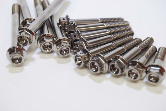 BAGUS!MOTORCYCLE バグース チタンエンジンカバーボルトセット スプロケットカバーボルトレス ZEPHYR750 RS カタログ品番：P095-8061 メーカー品番：BG-TEC03B