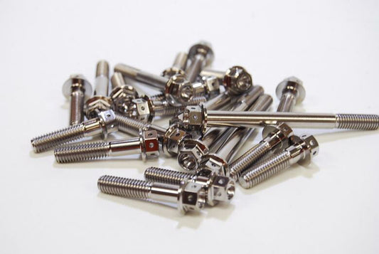 BAGUS!MOTORCYCLE バグース チタンエンジンカバーボルトセット スプロケットカバーボルトレス ZEPHYR1100 RS カタログ品番：P097-0803 メーカー品番：BG-TEC02B