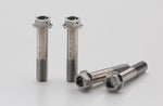 AELLA アエラ チタンボルト(Fキャリパーラジアルマウント) M10X50 P1.25(4本) カタログ品番：P097-2643 メーカー品番：AT-DU013
