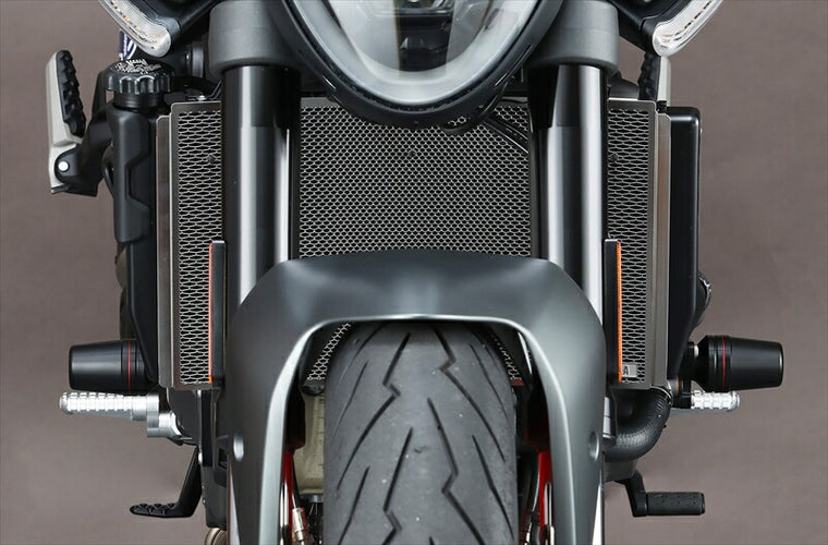 AELLA｜アエラ ラジエタープロテクター ブラック DUCATI MONSTER 21-／MONSTER plus 21-｜AE-56045BK